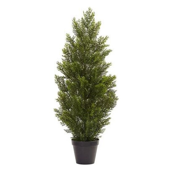 3′ Cedar Tree Silk Tree (In-door/Out-door) | Rental