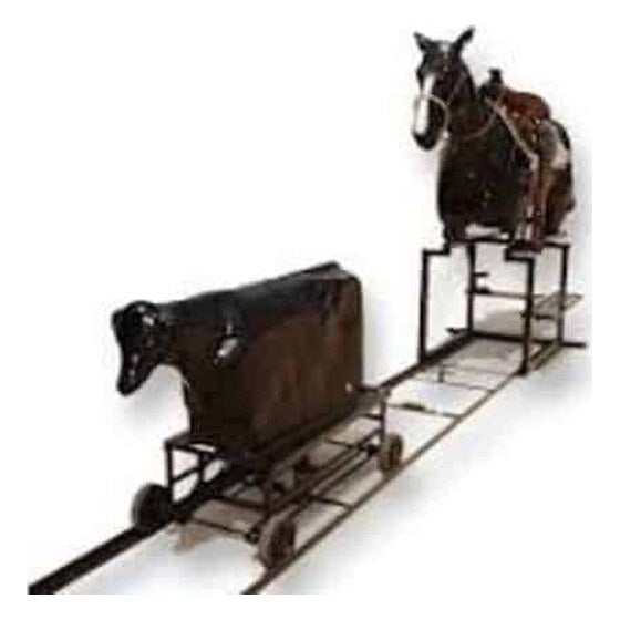 Rodeo Roper | Rental