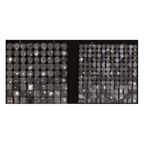 Sequin Shimmer 8’x8′ Backdrop Rental – Black Mirror | Rental