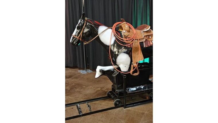 Rodeo Roper | Rental