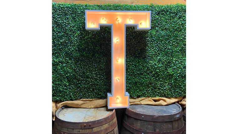 3′ Wood Marquee Letter – White – “T” | Rental