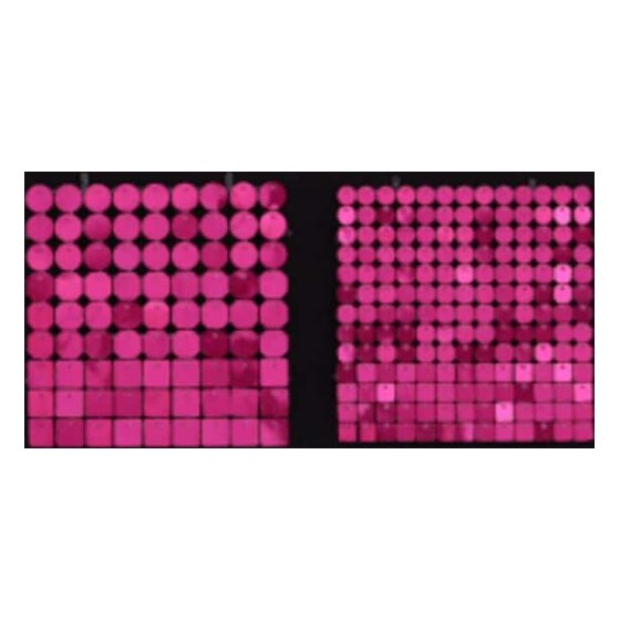 Sequin Shimmer 8’x8′ Backdrop Rental – Raspberry Mirror | Rental