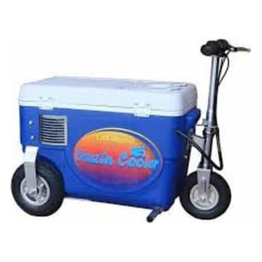 Crusin Cooler 33cc 2-stroke Motor | Rental