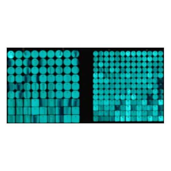 Sequin Shimmer 8’x8′ Backdrop Rental – Tiffany Dots Mirror | Rental