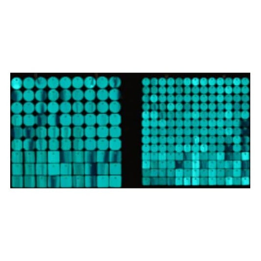 Sequin Shimmer 8’x8′ Backdrop Rental – Tiffany Dots Mirror | Rental