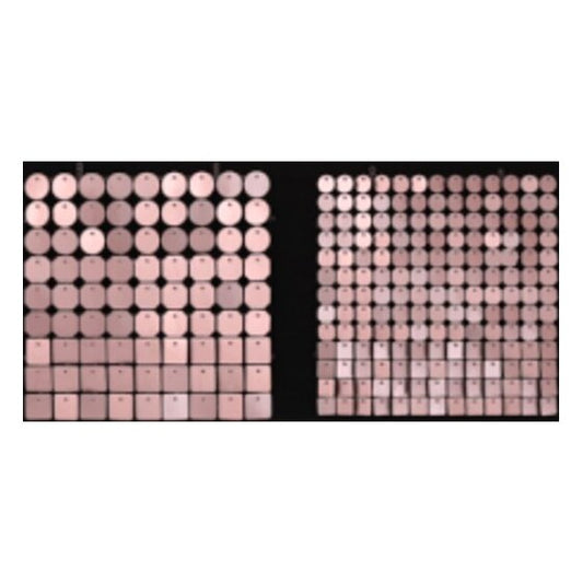 Sequin Shimmer 8’x8′ Backdrop – Powder | Rental