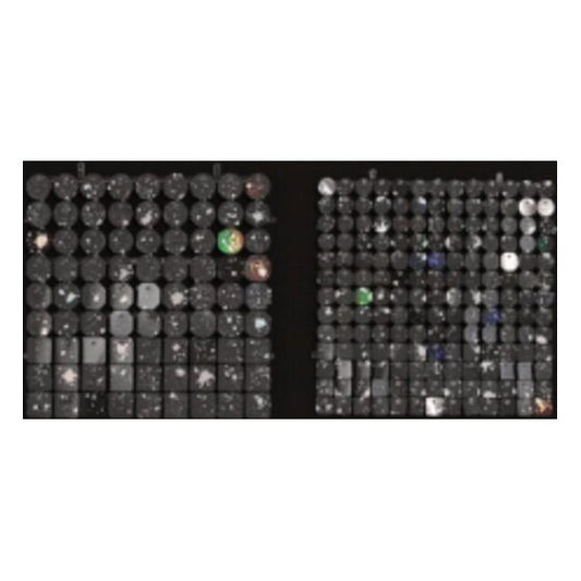 Sequin Shimmer 8’x8′ Backdrop Rental – Black & Rainbow | Rental