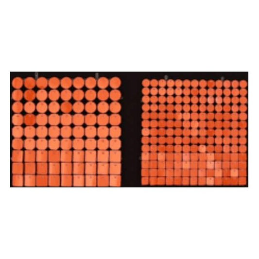 Sequin Shimmer 8’x8′ Backdrop Rental – Orange | Rental