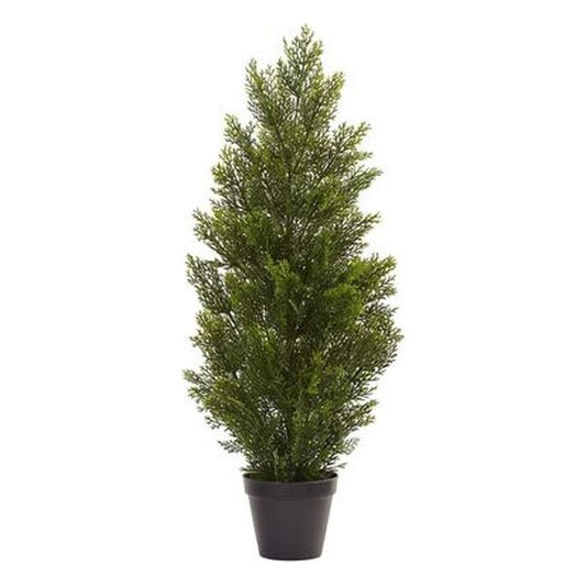 3′ Cedar Tree Silk Tree (In-door/Out-door) | Rental