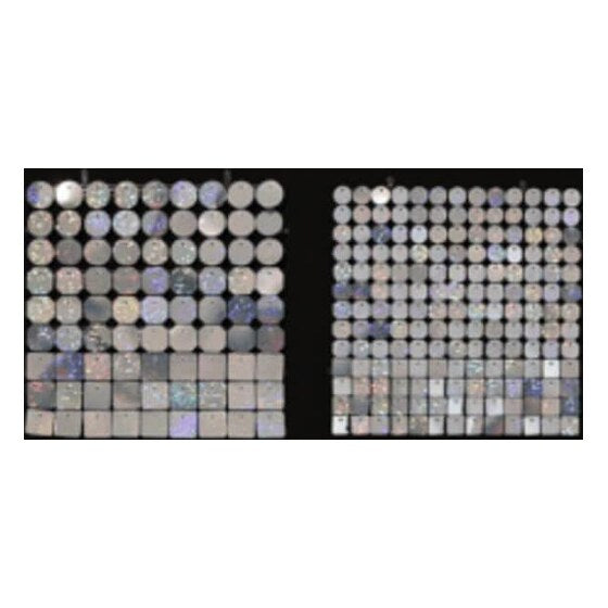 Sequin Shimmer 8’x8′ Backdrop Rental – Crystal Dots Mirror | Rental