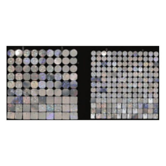 Sequin Shimmer 8’x8′ Backdrop Rental – Crystal Dots Mirror | Rental