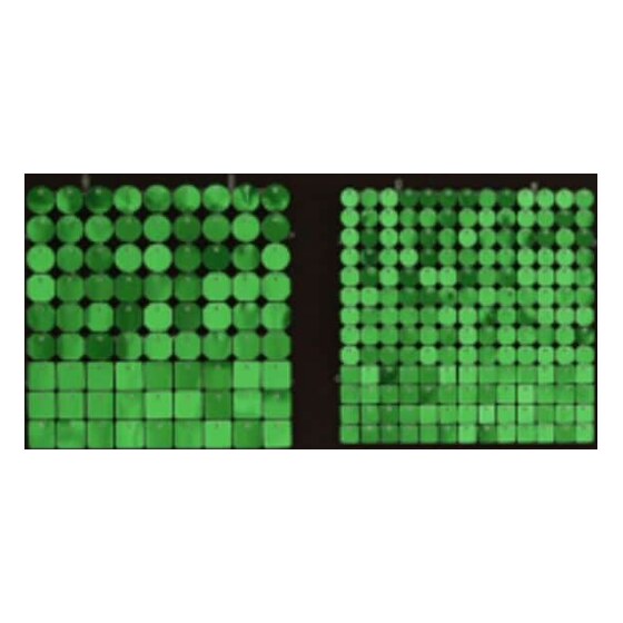 Sequin Shimmer 8’x8′ Backdrop Rental – Green Mirror | Rental