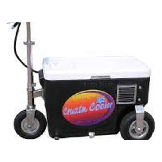 Cruisin Cooler 300 Watt Electric | Rental
