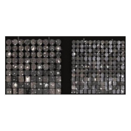 Sequin Shimmer 8’x8′ Backdrop Rental – Black Mirror | Rental