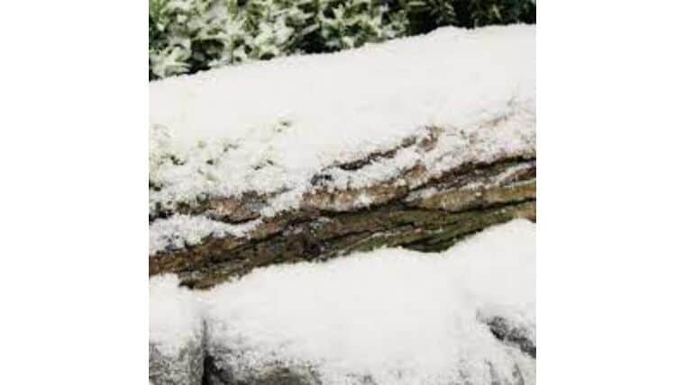 Boxed Artificial Snow – Fine (3.8KG) | Purchase | Rental
