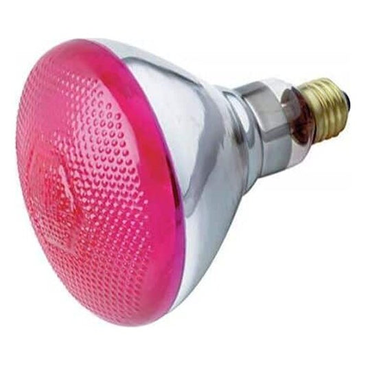 Light Bulb – 100W – 120V – Incandescent Pink Reflector Flood | Rental