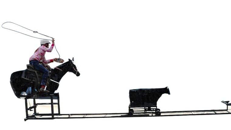 Rodeo Roper | Rental