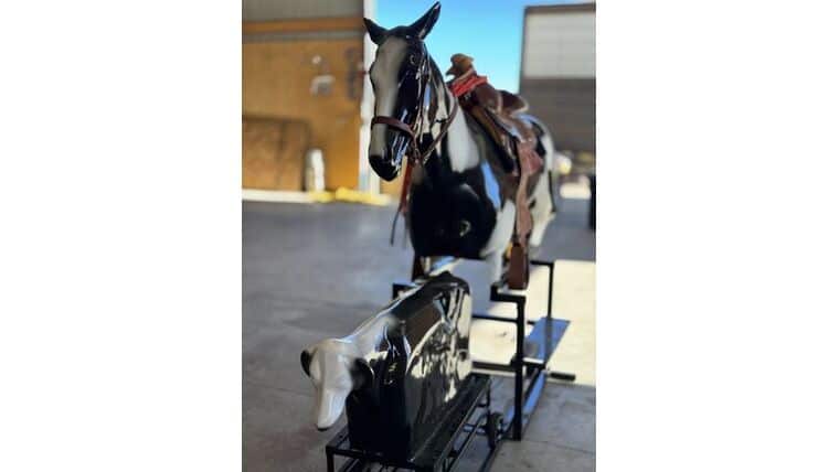 Rodeo Roper | Rental