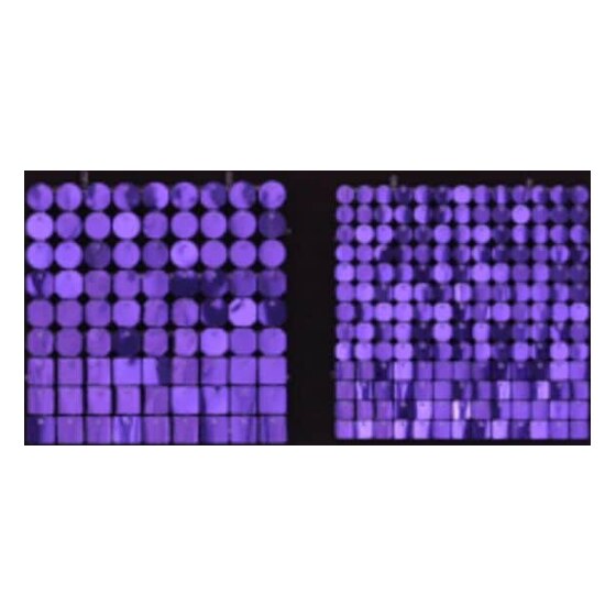 Sequin Shimmer 8’x8′ Backdrop Rental – Purple Mirror | Rental