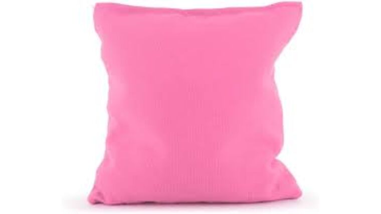 Pink Corn Hole Bean Bag | Rental