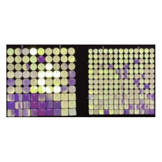 Sequin Shimmer 8’x8′ Backdrop Rental – Lilac Chameleon | Rental