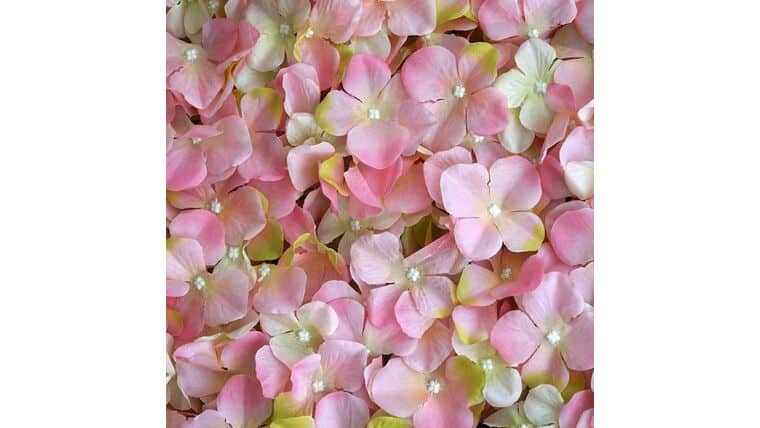 Flower Wall – UV Protected Pink | Cream Hydrangea Flower Wall Panel | Rental