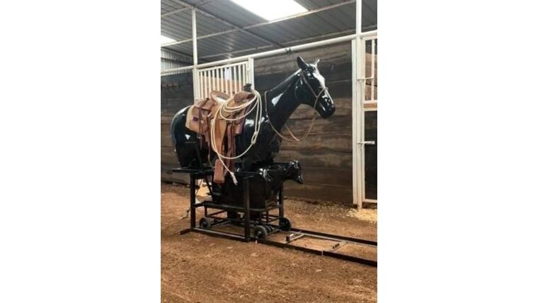Rodeo Roper | Rental