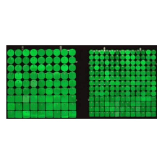 Sequin Shimmer 8’x8′ Backdrop Rental – Bright Green Mirror | Rental