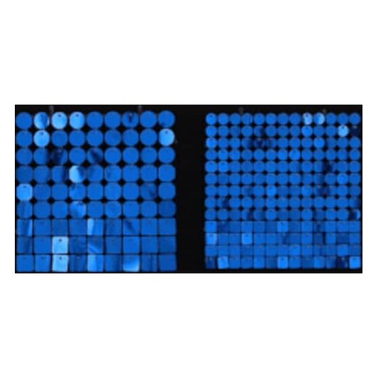 Sequin Shimmer 8’x8′ Backdrop Rental – Bright Blue Dots Mirror | Rental
