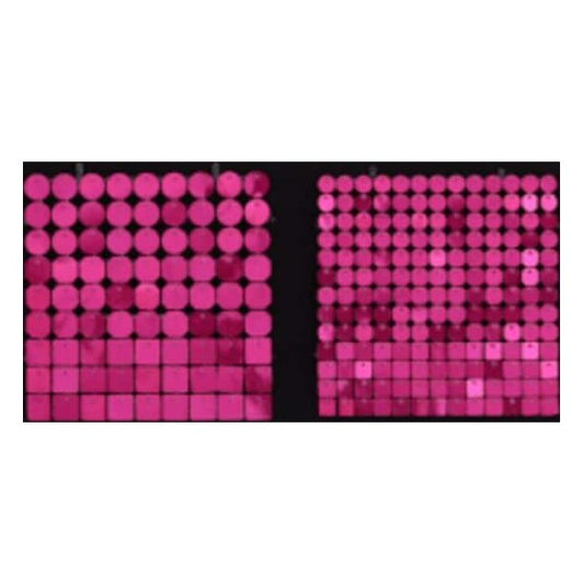 Sequin Shimmer 8’x8′ Backdrop Rental – Raspberry Mirror | Rental