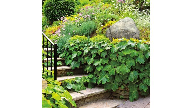 Outdoor Essentials Faux Rock, X Large – Tan | Rental